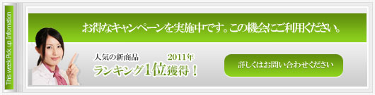 FXキャンペーン